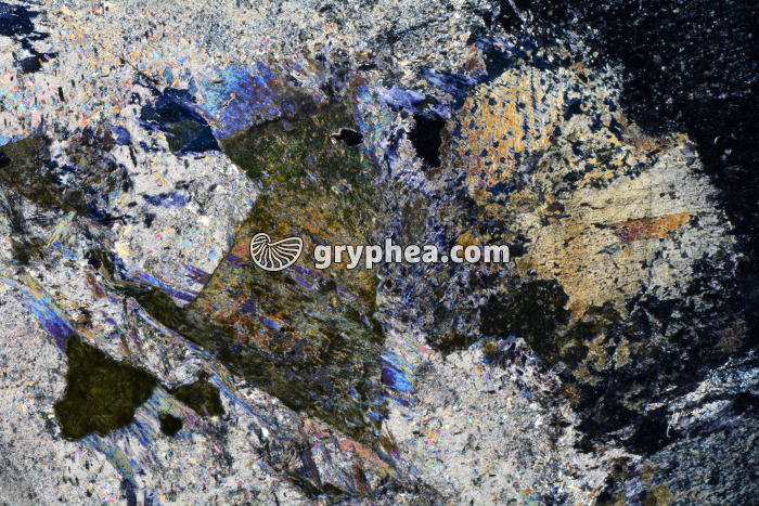 Métagabbro à glaucophane LPA x3,5 - gryphea.com